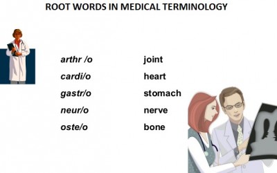Medical Root Words Quiz